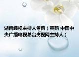 湖南經(jīng)視主持人黃鶴（黃鶴 中國(guó)中央廣播電視總臺(tái)央視網(wǎng)主持人）