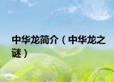 中華龍簡介（中華龍之謎）