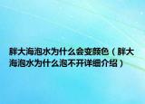 胖大海泡水為什么會(huì)變顏色（胖大海泡水為什么泡不開(kāi)詳細(xì)介紹）