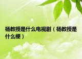 楊教授是什么電視?。罱淌谑鞘裁垂＃? /></span></a>
                        <h2><a href=