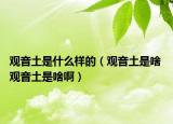 觀音土是什么樣的（觀音土是啥 觀音土是啥?。? /></span></a>
                        <h2><a href=