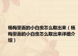 楊梅里面的小白蟲怎么取出來（楊梅里面的小白蟲怎么取出來詳細介紹）