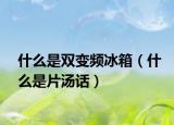 什么是雙變頻冰箱（什么是片湯話）