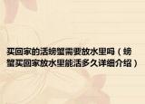 買回家的活螃蟹需要放水里嗎（螃蟹買回家放水里能活多久詳細(xì)介紹）