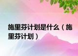 施里芬計(jì)劃是什么（施里芬計(jì)劃）