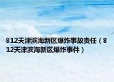 812天津?yàn)I海新區(qū)爆炸事故責(zé)任（812天津?yàn)I海新區(qū)爆炸事件）