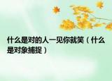什么是對的人一見你就笑（什么是對象捕捉）
