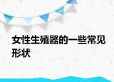 女性生殖器的一些常見形狀