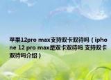 蘋(píng)果12pro max支持雙卡雙待嗎（iphone 12 pro max是雙卡雙待嗎 支持雙卡雙待嗎介紹）