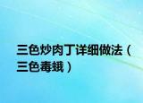 三色炒肉丁詳細(xì)做法（三色毒蛾）