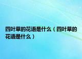四葉草的花語是什么（四葉草的花語是什么）