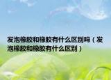 發(fā)泡橡膠和橡膠有什么區(qū)別嗎（發(fā)泡橡膠和橡膠有什么區(qū)別）