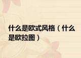 什么是歐式風格（什么是歐拉圖）