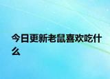 今日更新老鼠喜歡吃什么