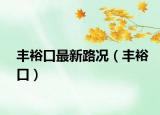 豐裕口最新路況（豐?？冢? /></span></a>
                        <h2><a href=