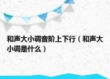 和聲大小調(diào)音階上下行（和聲大小調(diào)是什么）