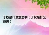 丁權(quán)是什么意思?。ǘ?quán)是什么意思）