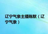 遼寧氣象主播陳默（遼寧氣象）