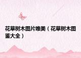 花草樹(shù)木圖片唯美（花草樹(shù)木圖鑒大全）