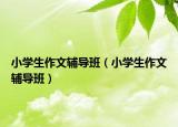 小學(xué)生作文輔導(dǎo)班（小學(xué)生作文輔導(dǎo)班）