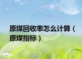 原煤回收率怎么計(jì)算（原煤指標(biāo)）