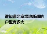 誰知道北京綠地新都的戶型有多大
