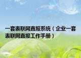 一套表聯(lián)網(wǎng)直報(bào)系統(tǒng)（企業(yè)一套表聯(lián)網(wǎng)直報(bào)工作手冊(cè)）