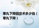 睪丸下降固定術(shù)多少錢（睪丸下降）