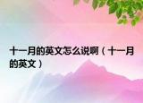 十一月的英文怎么說(shuō)啊（十一月的英文）
