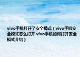 vivo手機打開了安全模式（vivo手機安全模式怎么打開 vivo手機如何打開安全模式介紹）