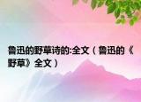 魯迅的野草詩的:全文（魯迅的《野草》全文）