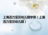 上海活力寶貝幼兒園學(xué)費（上?；盍氊愑變簣@）
