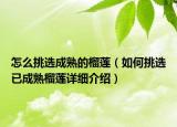 怎么挑選成熟的榴蓮（如何挑選已成熟榴蓮詳細(xì)介紹）