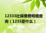 12333社保繳費(fèi)明細(xì)查詢（1233是什么）