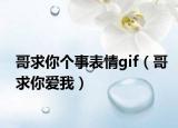 哥求你個(gè)事表情gif（哥求你愛(ài)我）