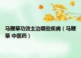 馬鞭草功效主治哪些疾病（馬鞭草 中醫(yī)藥）