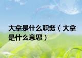 大拿是什么職務(wù)（大拿是什么意思）