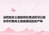法院拍賣(mài)土地如何處理法院可以拍賣(mài)農(nóng)村集體土地使用證的房產(chǎn)嗎
