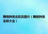 鞭炮種類(lèi)名稱(chēng)及圖片（鞭炮種類(lèi)名稱(chēng)大全）