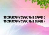 發(fā)動機(jī)故障標(biāo)志亮燈是什么字母（發(fā)動機(jī)故障標(biāo)志亮燈是什么原因）