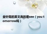 金針菇的英文真的是see（you tomorrow嗎）