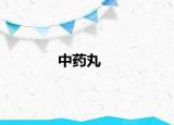中藥丸
