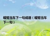螳臂當車下一句成語（螳臂當車下一句）