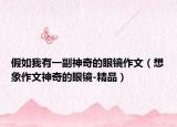 假如我有一副神奇的眼鏡作文（想象作文神奇的眼鏡-精品）