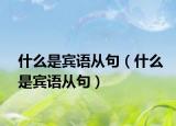 什么是賓語從句（什么是賓語從句）