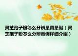 靈芝孢子粉怎么分辨是真是假（靈芝孢子粉怎么分辨真假詳細(xì)介紹）