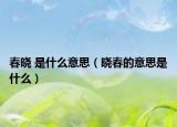 春曉 是什么意思（曉春的意思是什么）