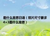 是什么意思日語（照片尺寸要求4×3是什么意思）