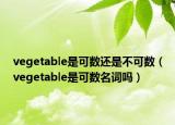 vegetable是可數(shù)還是不可數(shù)（vegetable是可數(shù)名詞嗎）