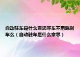 自動駐車是什么意思等車不用踩剎車么（自動駐車是什么意思）